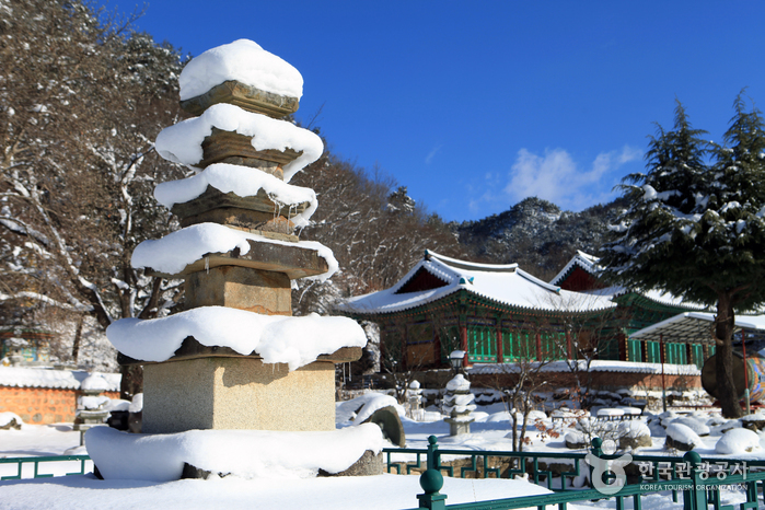 경내에 들어서면 제일 먼저 금당사석탑을 만난다.
