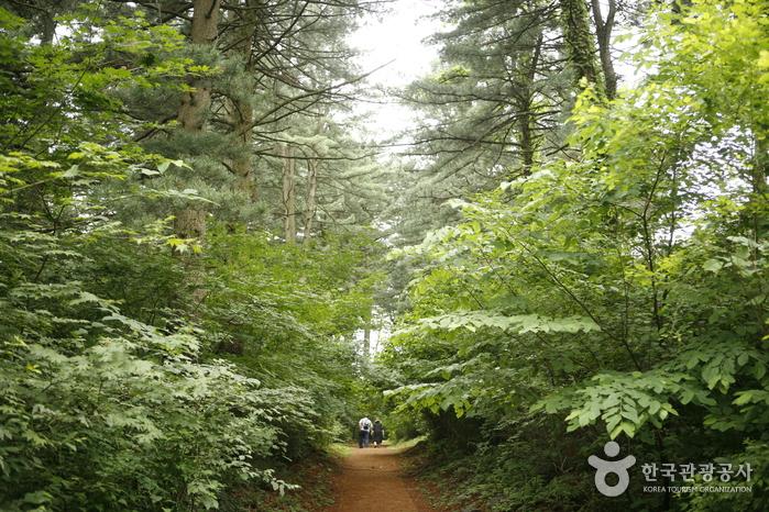 사방댐과 만나는 하늘호수길