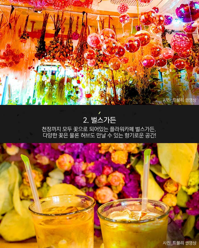 꽃향기 가득한 플라워 카페> 여행기사 :대한민국 구석구석 여심저격 확실하다! 꽃향기 가득한 플라워 카페> 여행기사 :대한민국 구석구석 