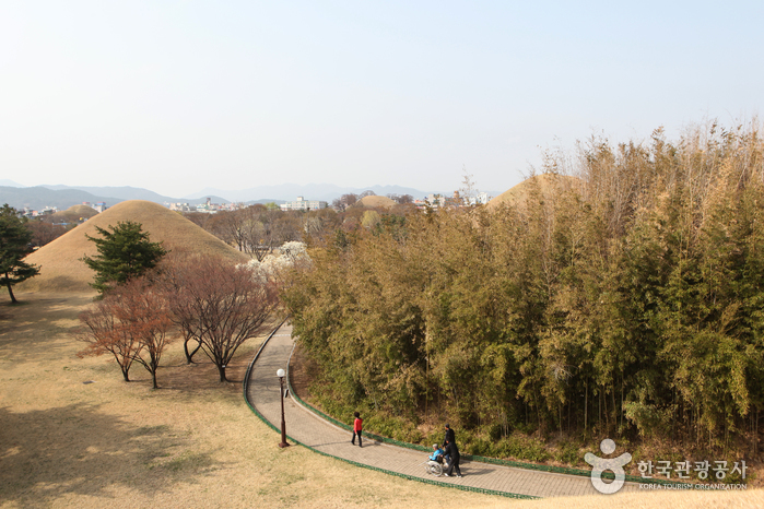 왕에게 가다 여행 가볼만한곳