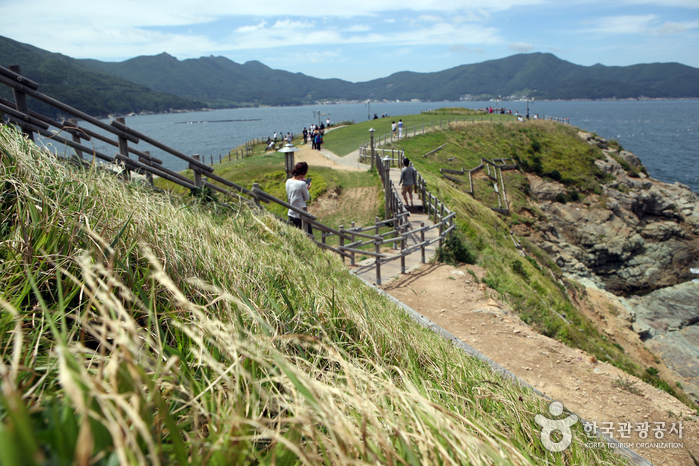 700리 해안의 풍광을 따라 달리는 지상 최고의 드라이브 여행 가볼만한곳