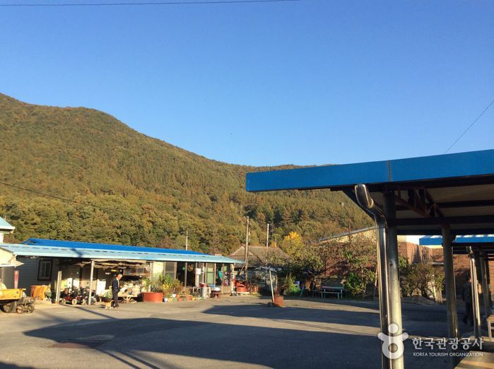 운주정기시장 1, 6일 여행 가볼만한곳