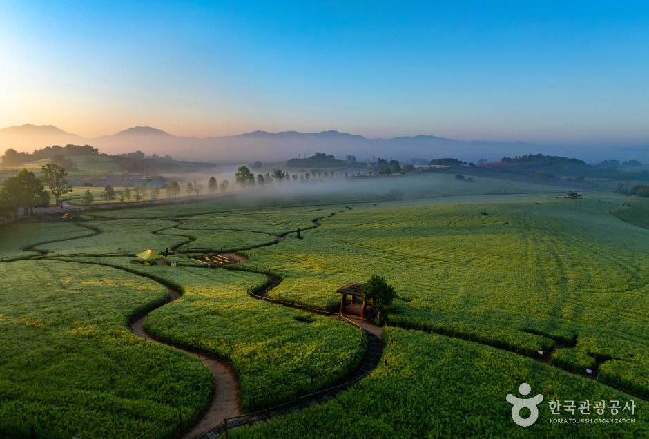 보리나라 학원농장 