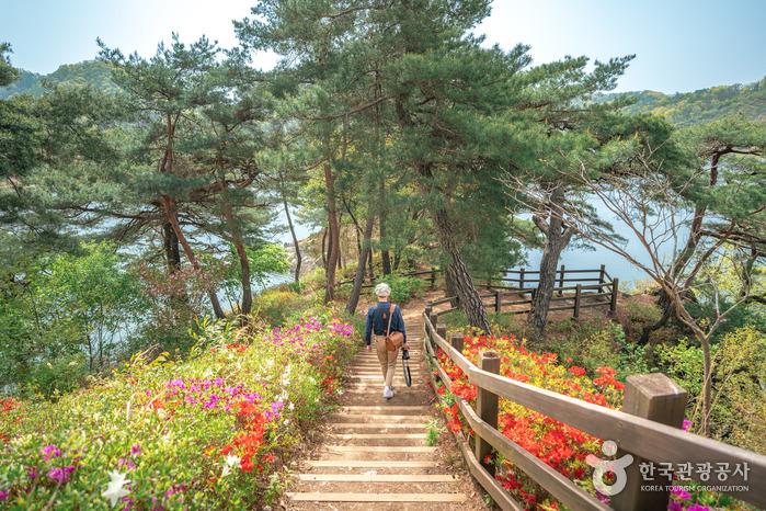 5월의 꽃들이 반기는 산책로