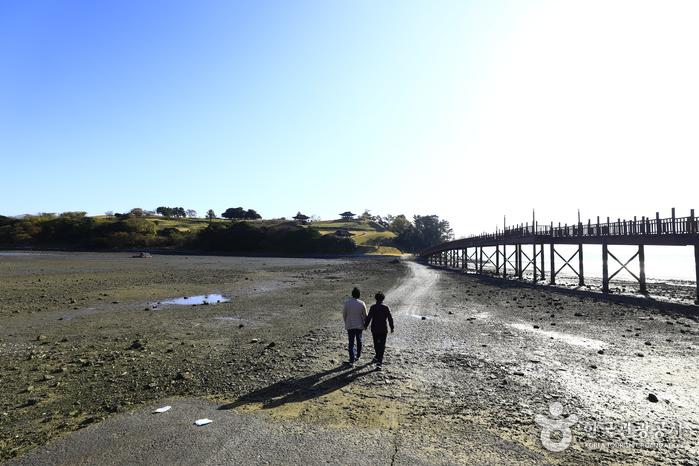 장도목교와 바닷길