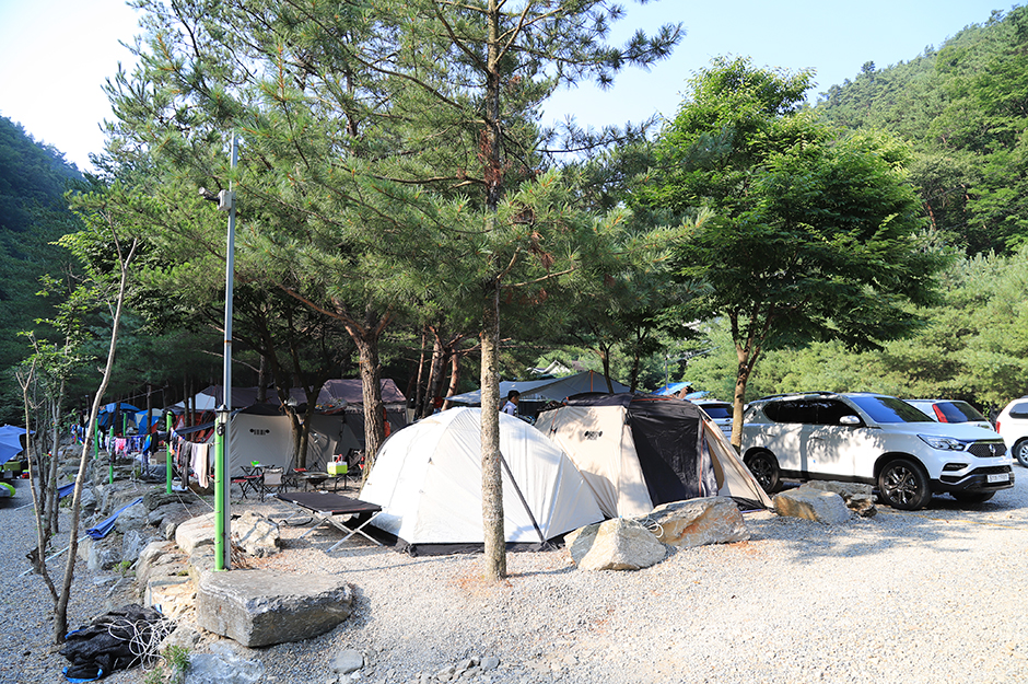 도원패밀리캠핑장> 여행지 :대한민국 구석구석 도원패밀리캠핑장> 여행지 :대한민국 구석구석 