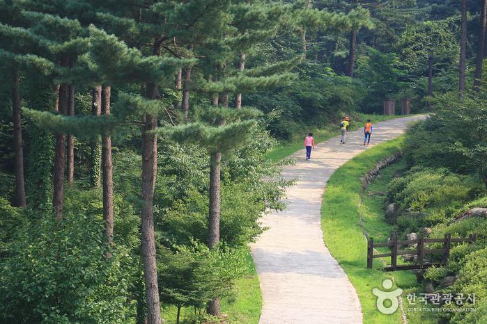 (주)상도000 이미지