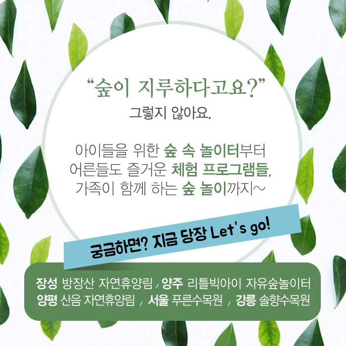 [여행 카드] 온 가족이 심쿵! 웃음 만발 숲 속 놀이터 BEST 5
