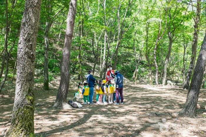 용현자연휴양림에서 숲 체험을 하는 아이들