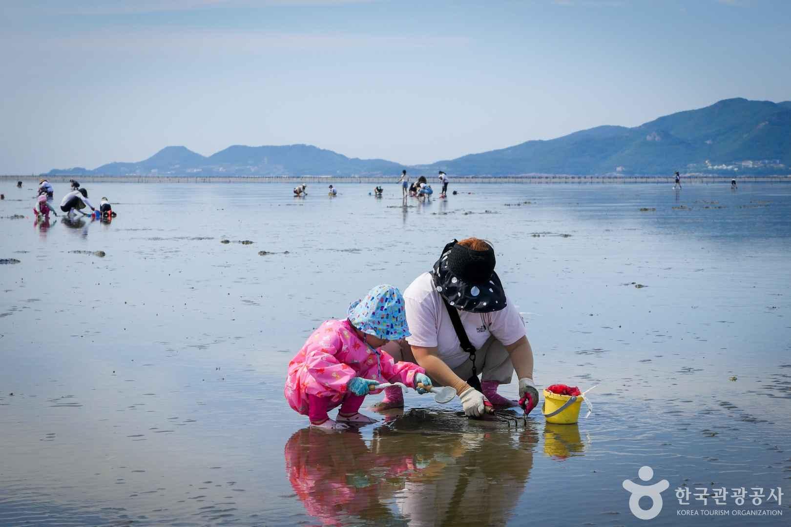 고창 가볼만한 곳 구시포해변 구시포항 노을사진 찍기 좋은 곳 물때정보 5