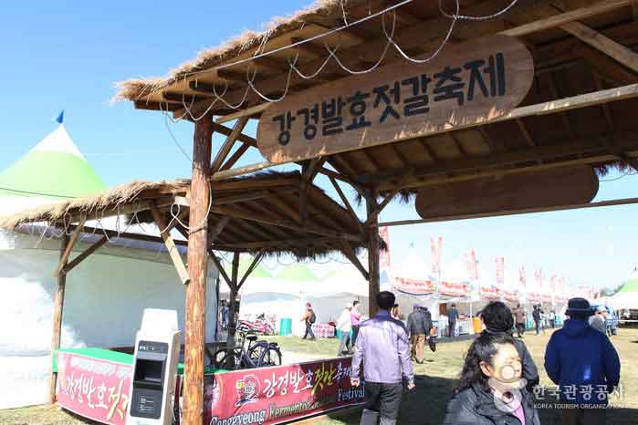 강경발효 젓갈축제 “맛있는 발효 젓갈 맛보러 오세요!”> 여행기사 :대한민국 구석구석 강경발효 젓갈축제 “맛있는 발효 젓갈 맛보러 오세요!”... 