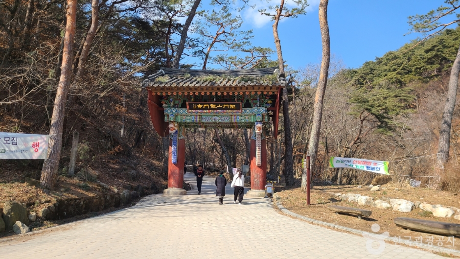 용문사(용문산)  1