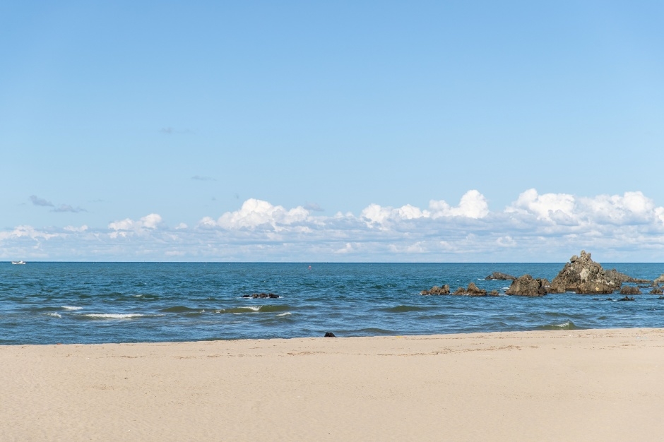 맹방해변 12
