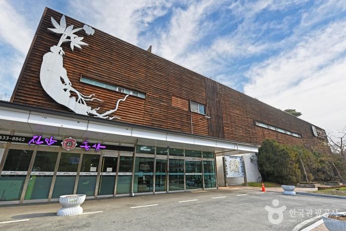 홍삼을 테마로 꾸민 진안홍삼스파 외관