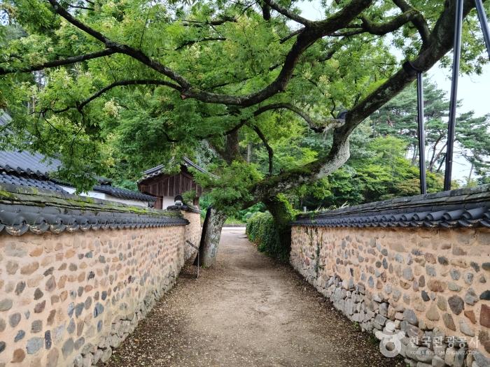 옛 담장을 따라 느림의 미학에 빠지다 - 산청 남사예담촌|안심여행 캠페인