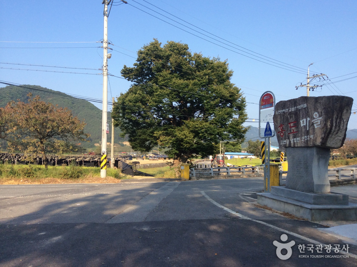 충남 금산 약초 인삼 쇼핑코스 여행 가볼만한곳