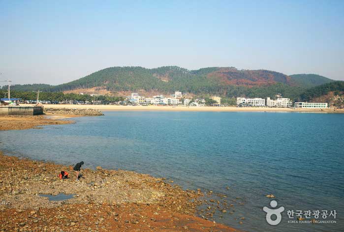 차분한 휴식 같은 시간, 신진도에서 즐기는 하루> 여행기사 :대한민국 구석구석 차분한 휴식 같은 시간, 신진도에서 즐기는 하루> 여행기사... 