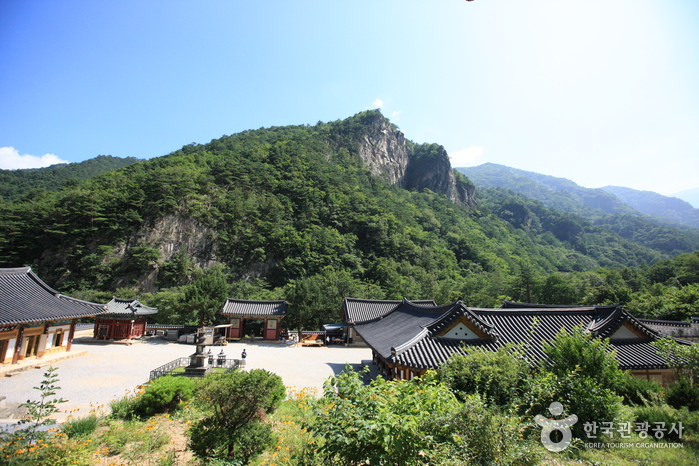 무릉도원에서 즐기는 시원한 하루 여행 가볼만한곳