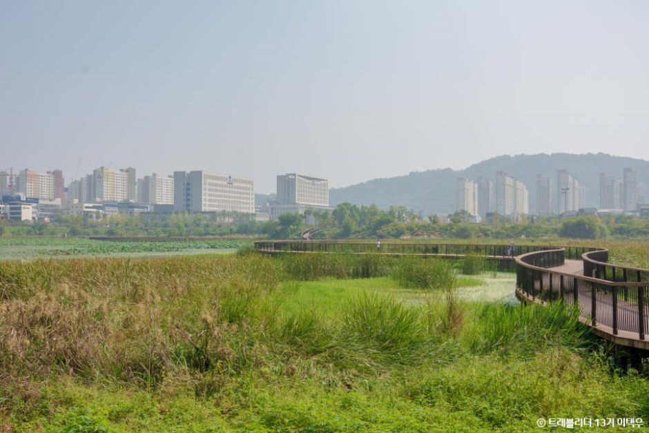 기지제 여행 가볼만한곳