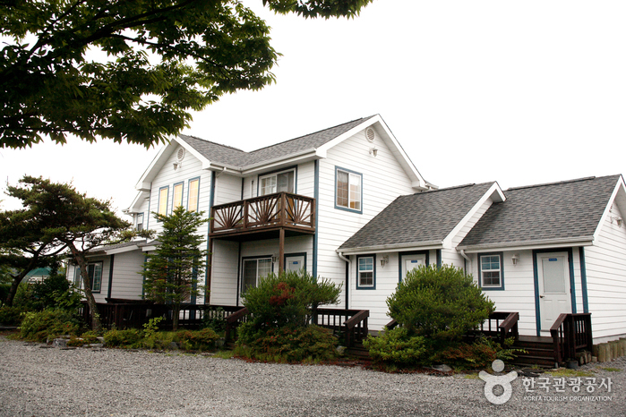 알바트로스 여행 가볼만한곳