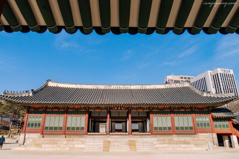 나포레호텔 이미지
