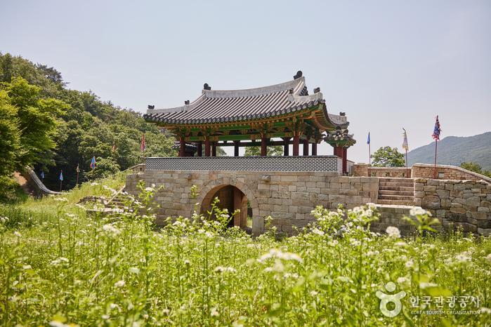 전통주와 함께하는 이색 여행, 대한민국 방방곡곡 전통주 성지순례> 여행기사 :대한민국 구석구석 전통주와 함께하는 이색 여행,  대한민국... 
