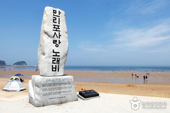 서퍼의 꿈을 실은 만리포 사랑, 태안 만리포니아서핑협동조합> 여행기사 | 관광두레:대한민국 구석구석