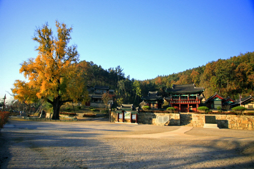 팔공산자락에서 즐기는 고즈넉한 캠핑여행 여행 가볼만한곳