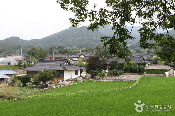 명당에서 즐기는 고택체험…거창 황산전통한옥마을> 여행기사 :대한민국 구석구석 명당에서 즐기는 고택체험…거창 황산전통한옥마을> 여행기사... 