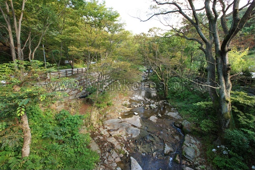 충남 아산시 웰빙코스 여행 가볼만한곳