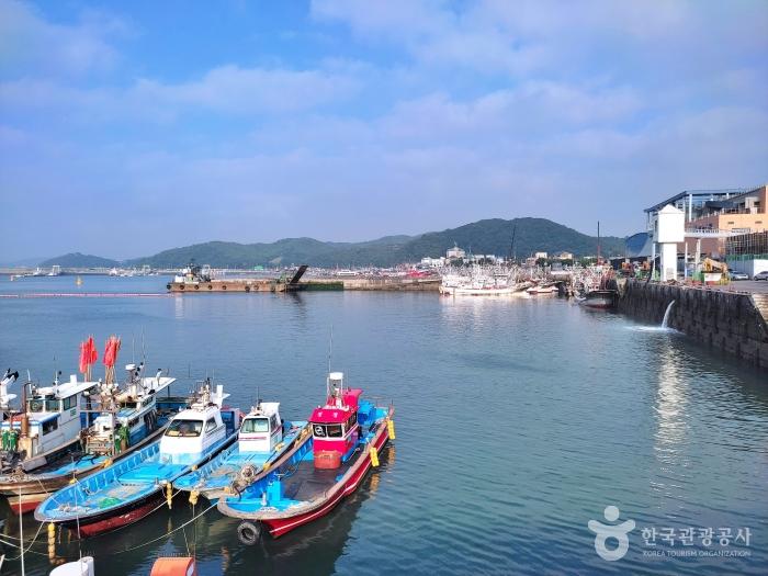 서해에서 드물게 청정수역을 끼고 있는 대천항