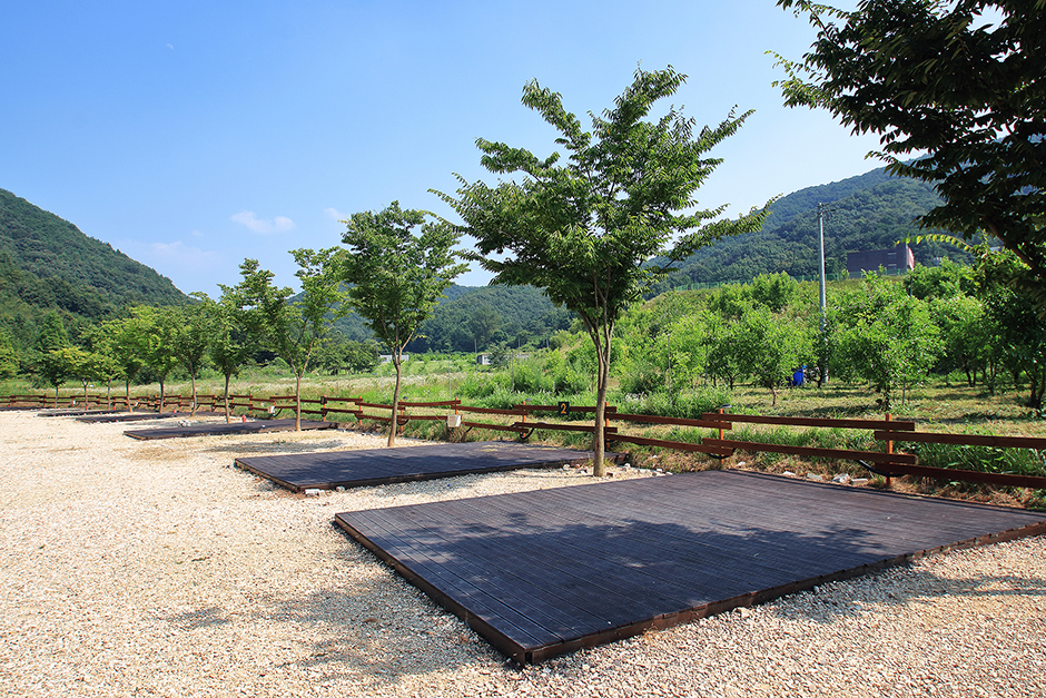 연산황산벌오토캠핑장> 여행지 :대한민국 구석구석 연산황산벌오토캠핑장> 여행지 :대한민국 구석구석 