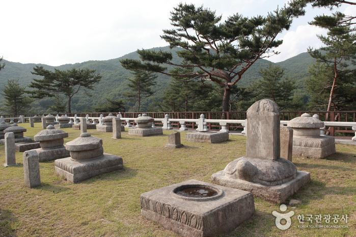 태실 19기가 모여 있는 성주 세종대왕자 태실