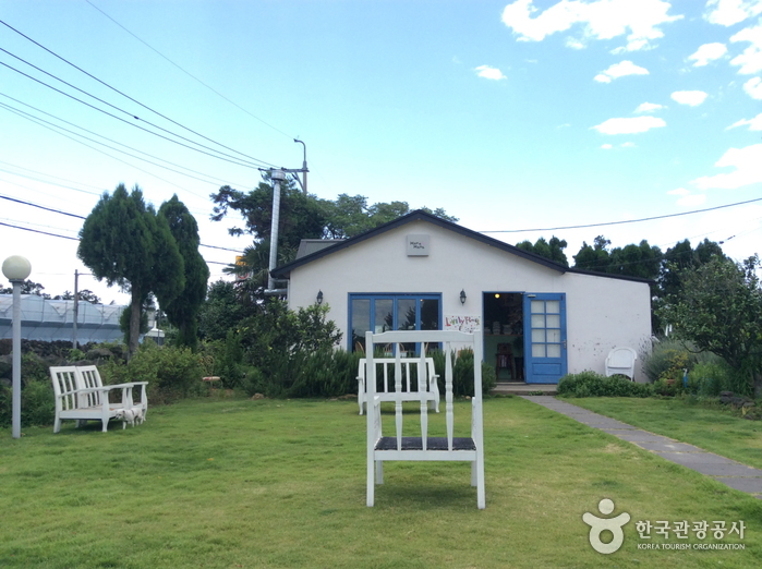 카페 하루하나 여행 가볼만한곳