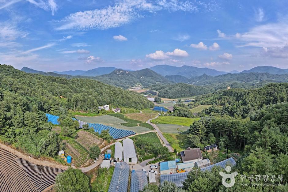별 하나, 나 하나. 외갓집처럼 편안한 팜크닉, 평창 오대산힐링빌리지> 여행기사 | 관광두레:대한민국 구석구석