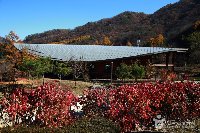 화천, 향기로운 산약초 마을 힐링 여행 여행 가볼만한곳