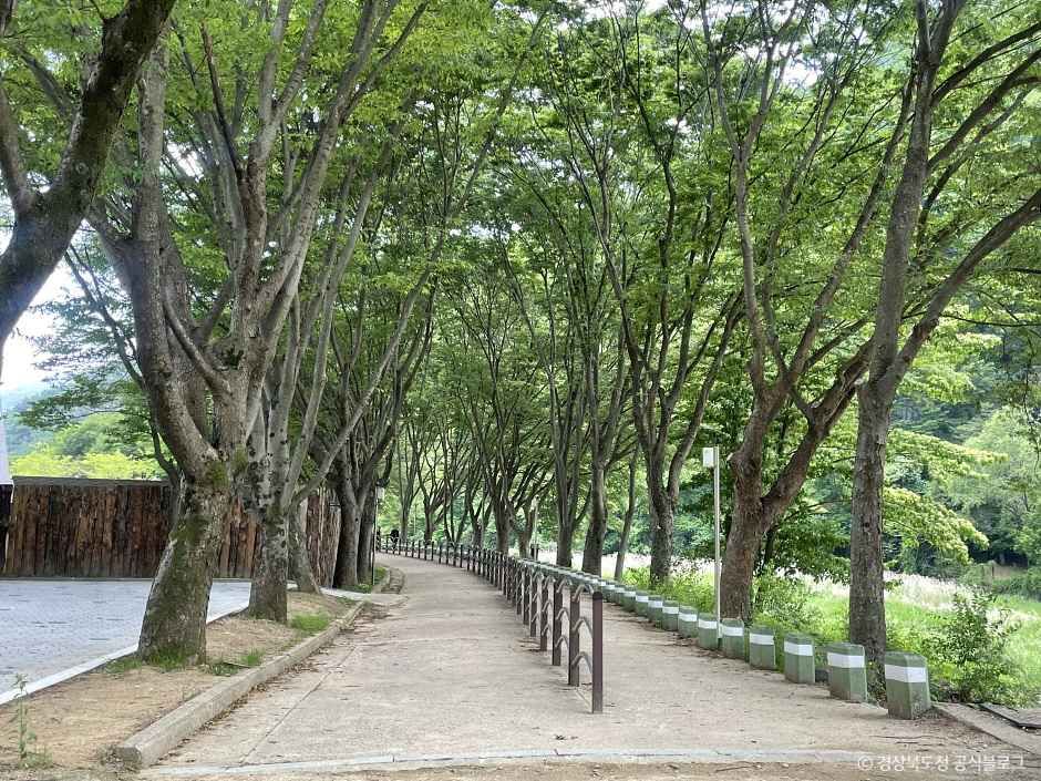 문경새재도립공원 5