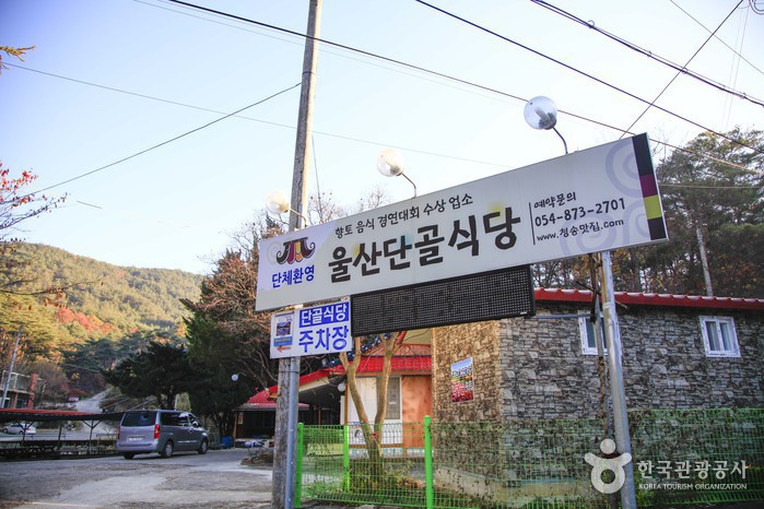 울산단골식당> 여행지 :대한민국 구석구석 울산단골식당> 여행지 :대한민국 구석구석 