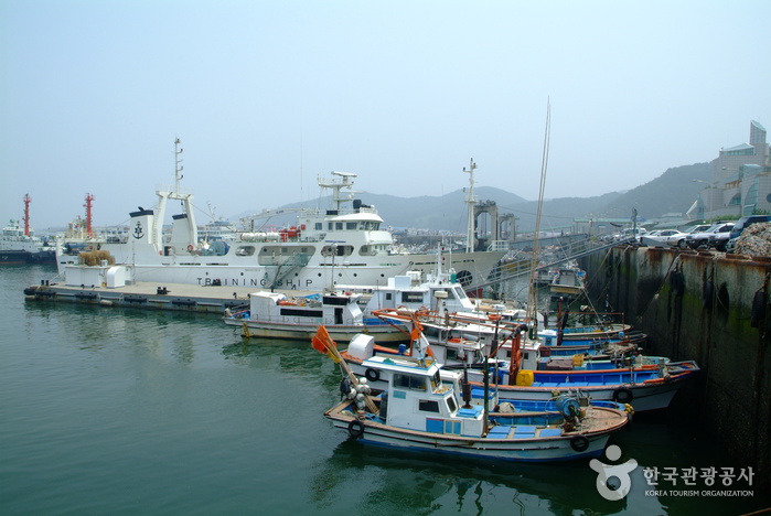 외연도 상록수림에서 즐기는 힐링 여행 여행 가볼만한곳