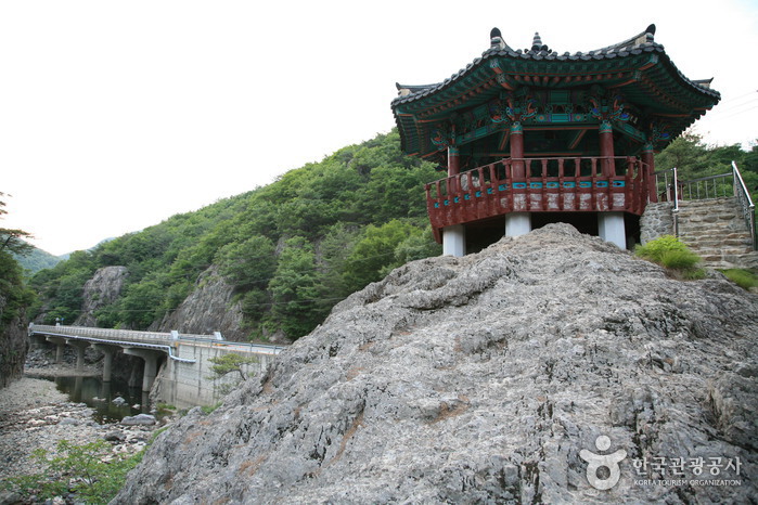 온몸을 감싸는 피톤치드와 홍삼의 향기 여행 가볼만한곳