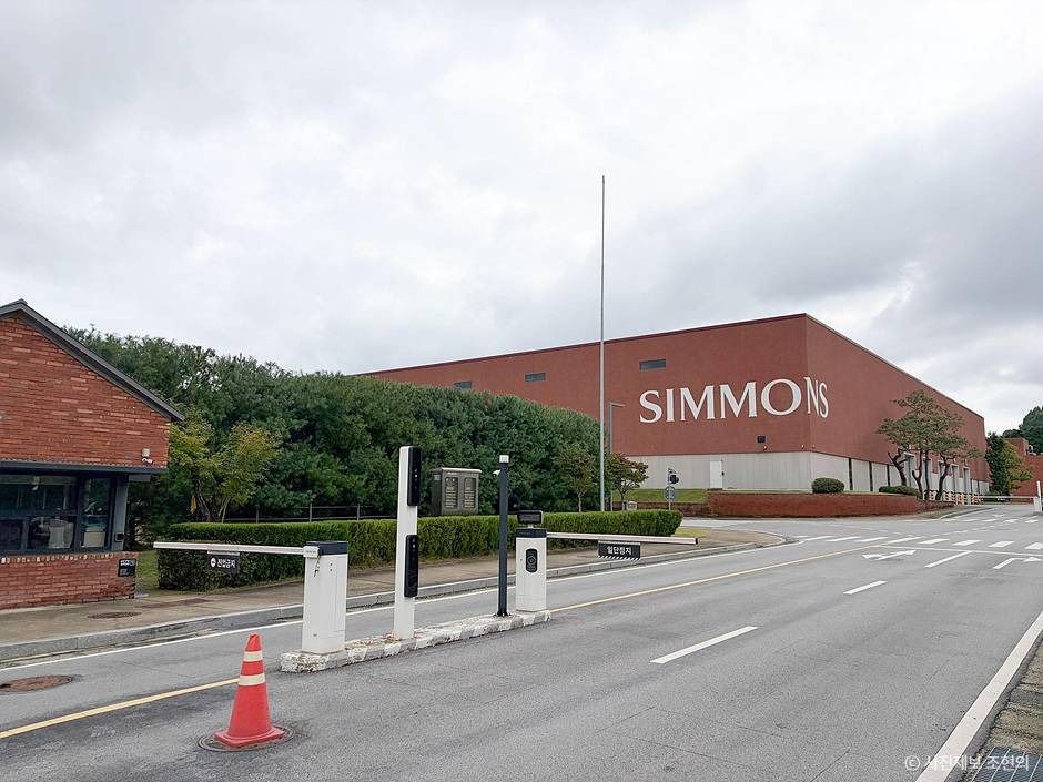 시몬스 테라스점 2