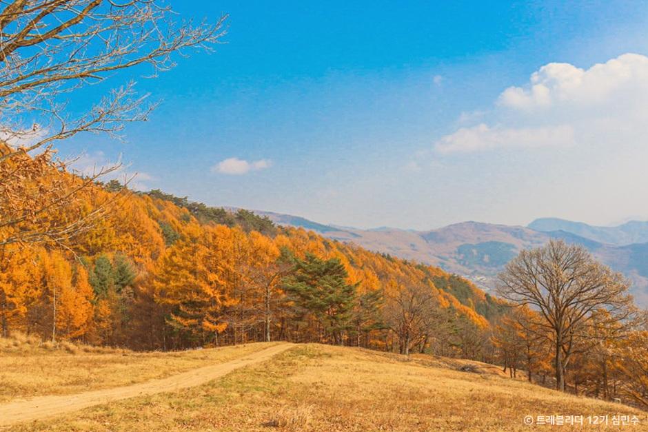 야, 차 없어두 평창 갈 수 있어! 힐링스팟 가득 평창 여행> 여행기사 :대한민국 구석구석 야, 차 없어두 평창 갈 수 있어!  힐링스팟 가득 평창 여행... 