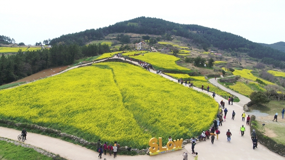 청산도 슬로우시티 풍경
