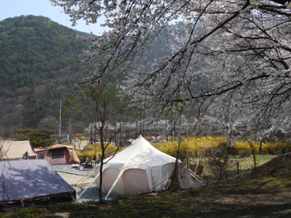 꿈꾸는농부오토캠핑장> 여행지 :대한민국 구석구석 꿈꾸는농부오토캠핑장> 여행지 :대한민국 구석구석 