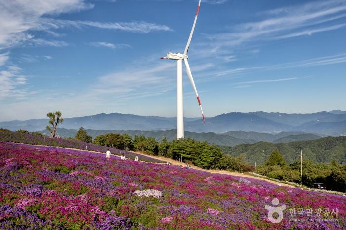 감악산 풍력발전단지 정상 풍경