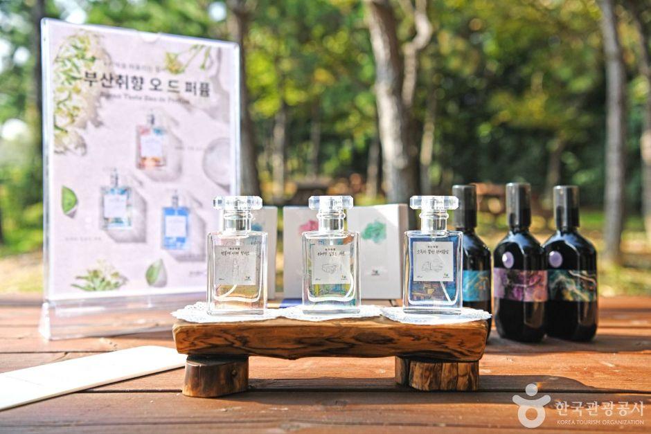 주식회사 여행가 이미지