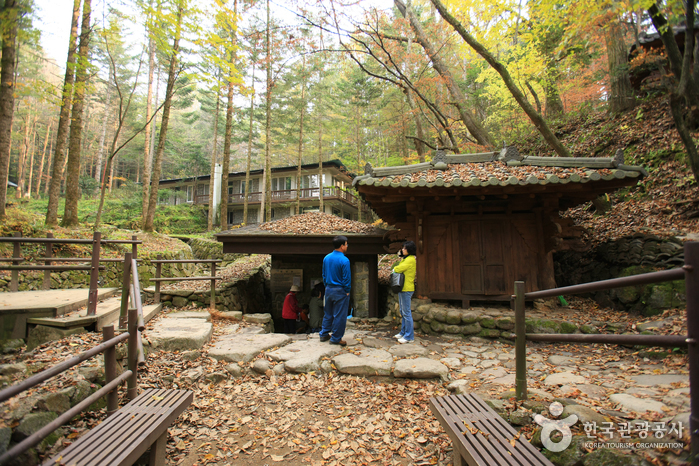 그 길에서 위안을 얻다 여행 가볼만한곳