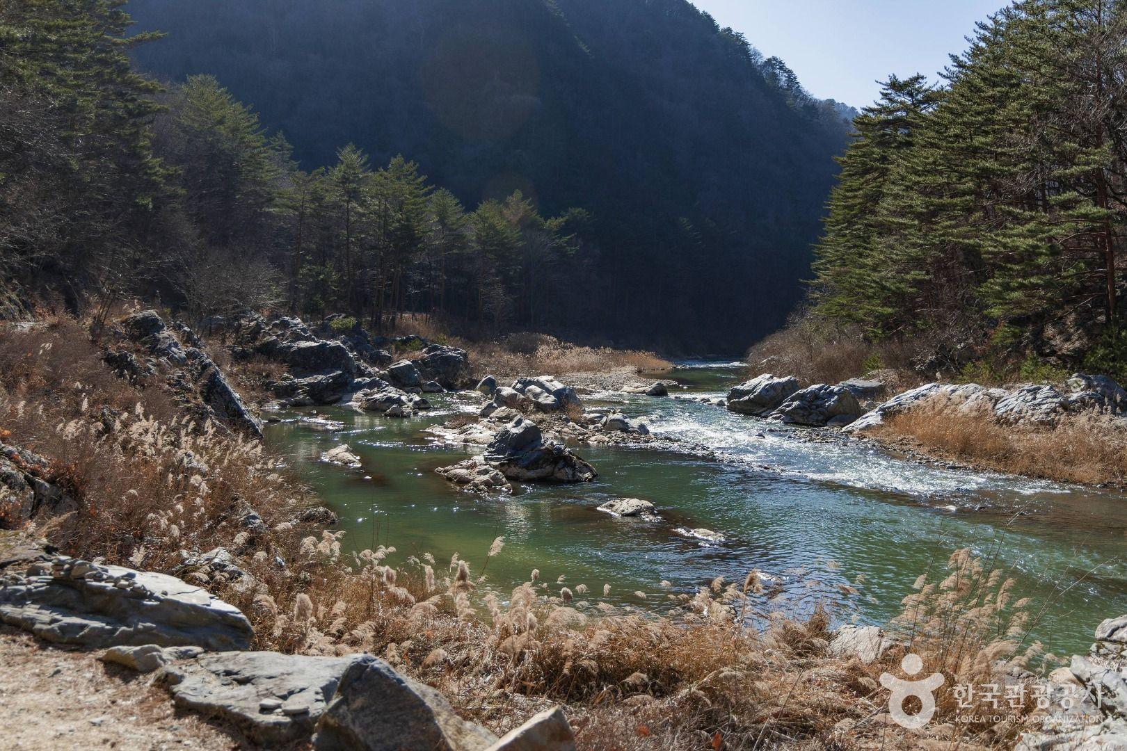 노추산 모정탑길