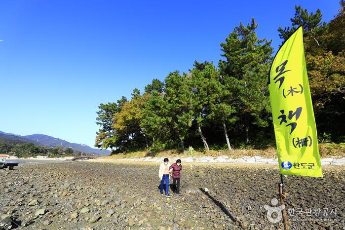 장도 목책 표시 깃발