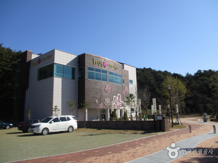 화진포생태박물관 여행 가볼만한곳